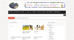 Desktop Screenshot of ansiklopedikbilgi.com